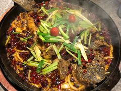 -老板恋上鱼(恒隆广场店)