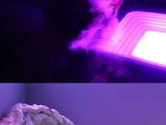 -极木²邸 人与宠物·互动社区