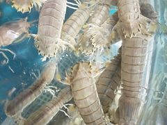 -四海鲜渔家菜(黄金海岸店)