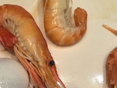 -济南喜来登酒店-盛宴自助西餐厅·综合自助