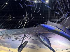 -武汉园博园(武汉自然博物馆)