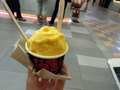 -野人先生现做冰淇淋(西安赛格店)