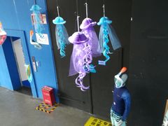 -迪卡侬(西三旗店)