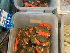 -强记海鲜·大排档(蛇口新街店)