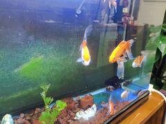 -秦汉胡同国学书院(红山分馆)