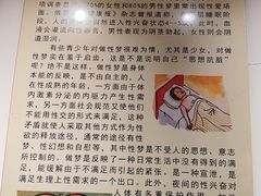 -武汉达临性学生命文化博物馆