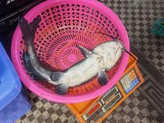 -古城苗家土菜馆(河景餐厅店)