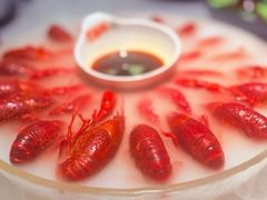 -红盔甲·小龙虾(天钥桥店)