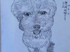 给客人画的卡通画-獨門烤肉(开发区店)