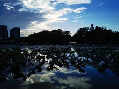 -新江湾城公园