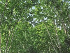 -河南省黄河迎宾馆