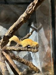 -Zoolung Zoolung动物主题公园(海信广场店)