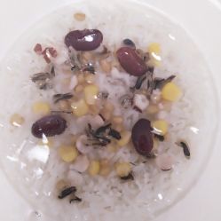 -英芬国际月子中心(岛屿度假月子·洲至奢选香岚店)