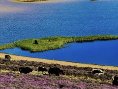 -丽江泸沽湖景区