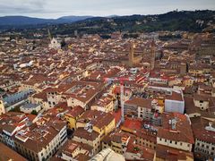 -圣母百花大教堂穹顶