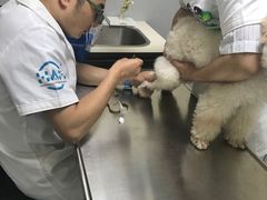 -谐和益家动物医院·免疫绝育·血液透析·宠保定点医院(高新伊藤分院)