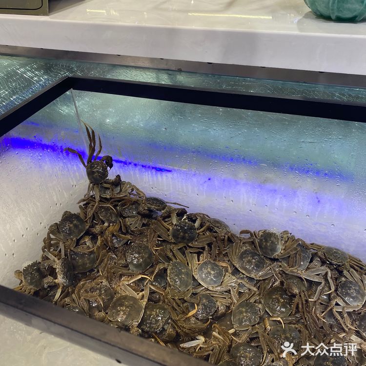 青岛探店🏛|圣罗巴海鲜烤肉自助