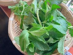 -楠小云·云南鲜菌·鲜牛自助火锅(九眼桥店)