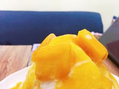 芒果-杨小贤芒果绵绵冰(南门口店)