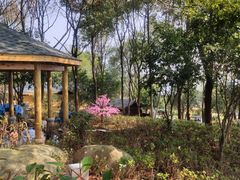 -山湖温泉