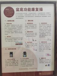 -复旦大学附属妇产科医院(杨浦院区)