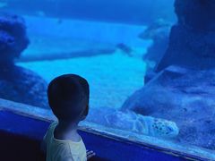 -左海海底世界