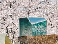 -龙美术馆(西岸馆)
