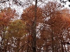 -华南国家植物园-售票处