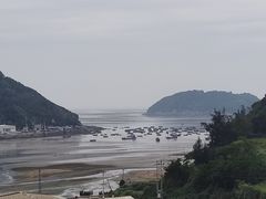 -花竹村
