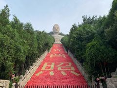 -蒙山大佛景区