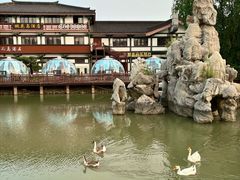 -桃花岛公园