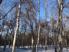 -长春市南湖公园