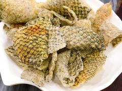 炸鱼皮-伍湛记粥品(荔湾名食家店)