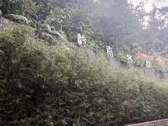 -广东温泉宾馆