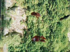 -牛背梁国家森林公园