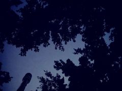 -四川大学(华西校区)