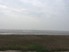 -南汇嘴观海公园