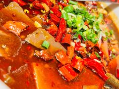 -天辣(金桥啦啦宝都店)