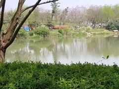 -尚贤河湿地