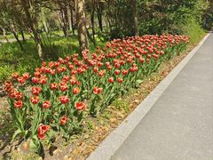 -东平国家森林公园
