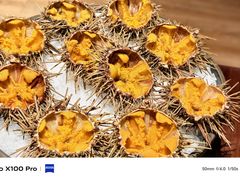 -古京·臻致料理(月湖店)