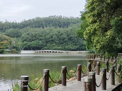 -深圳仙湖植物园