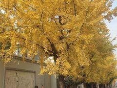 -楚望台遗址公园