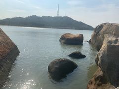 -濠轩阁特色生蚝火锅(水湾路店)