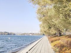 -长春市南湖公园