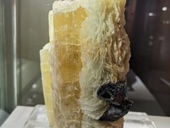 -湖南省地质博物馆