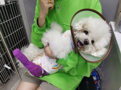 -福州肆爪动物医院