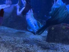 -沙沙哗啦海洋馆(华宇百花谷店)