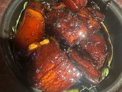 -佬肥猫(国华广场店)