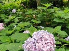 -常州古运河南大街文化旅游区-人民公园